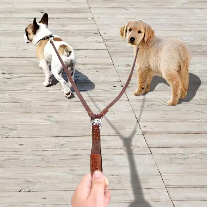 Laisse double en cuir pour animaux de compagnie