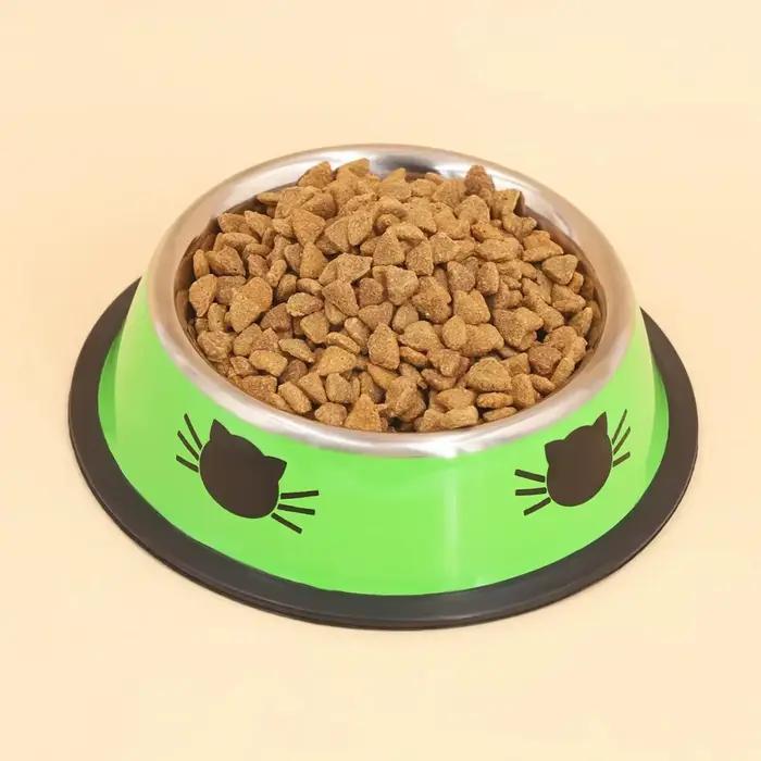 Supet-Gamelle en acier inoxydable à double paroi avec base en caoutchouc coordonnante pour chien et chat