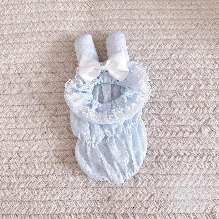 Accessoires pour chiens : Bandeau anti-salissure pour petits chiens