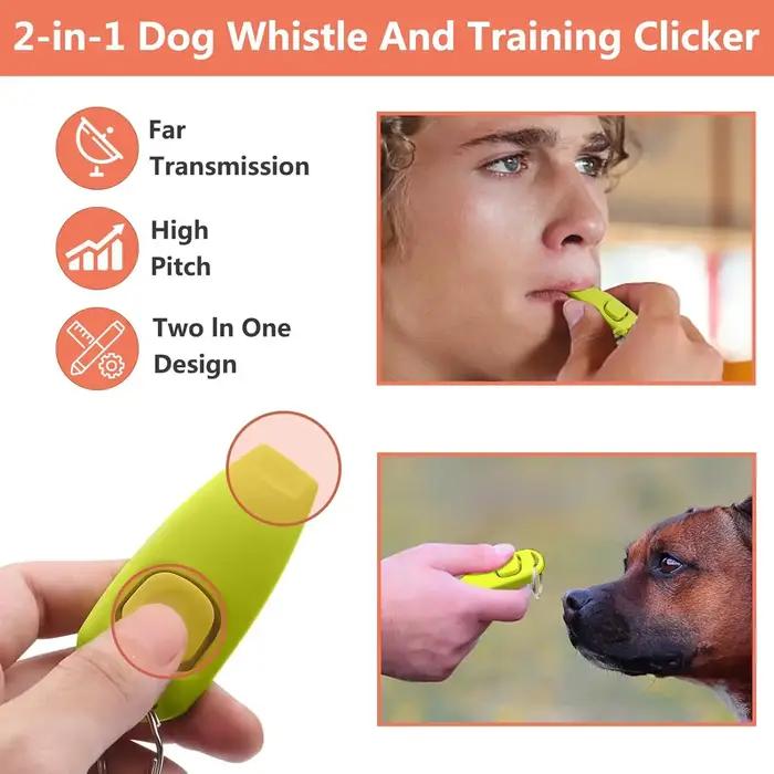 Kit d'entraînement pour chien : pochette à friandises