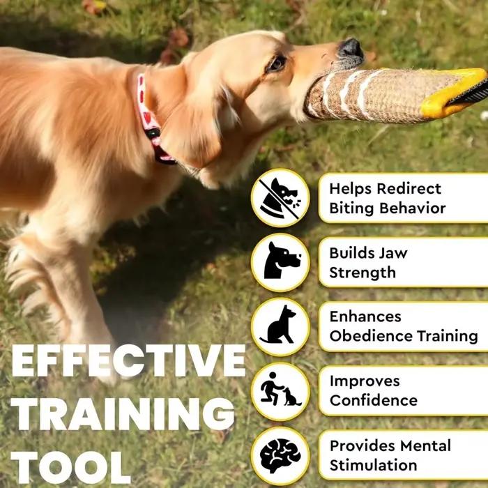 Jouets d'entraînement pour chiens