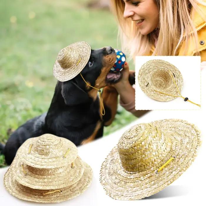 Chapeau de paille rétro pour chien et chat