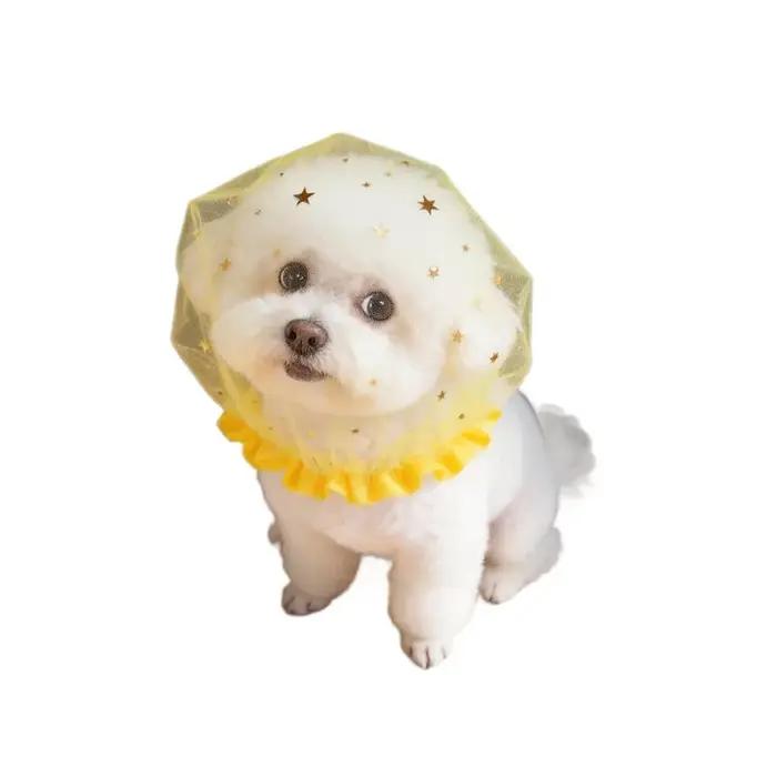 Accessoire de mode en maille pour chiens anti-mastication respirant pour promenade en extérieur