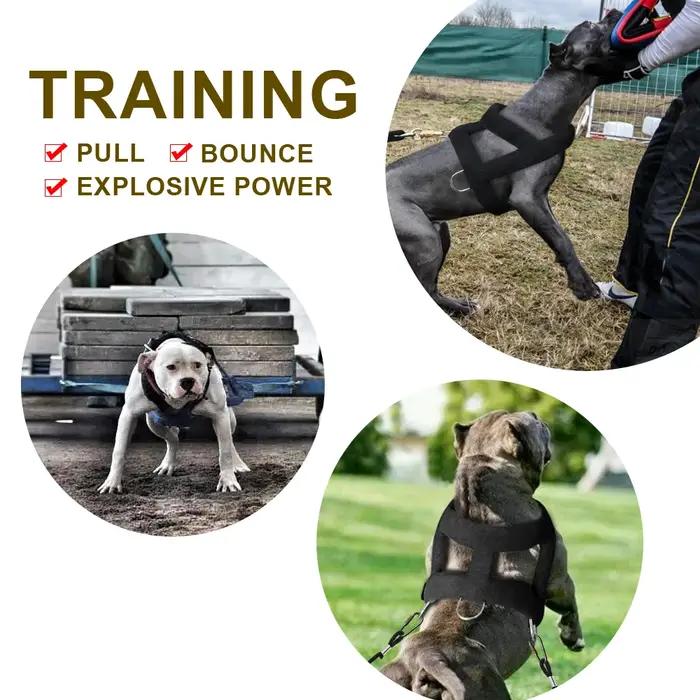 Harnais de traction pour chien avec laisse