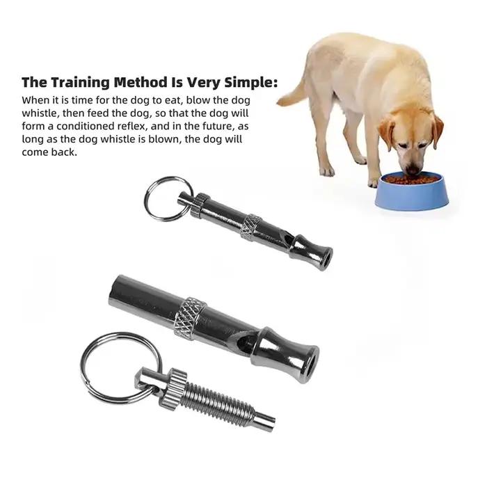 Sifflet d'entraînement ultrasonique pour chien