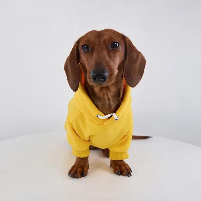 Veste polaire à capuche pour chiens de race Wiener