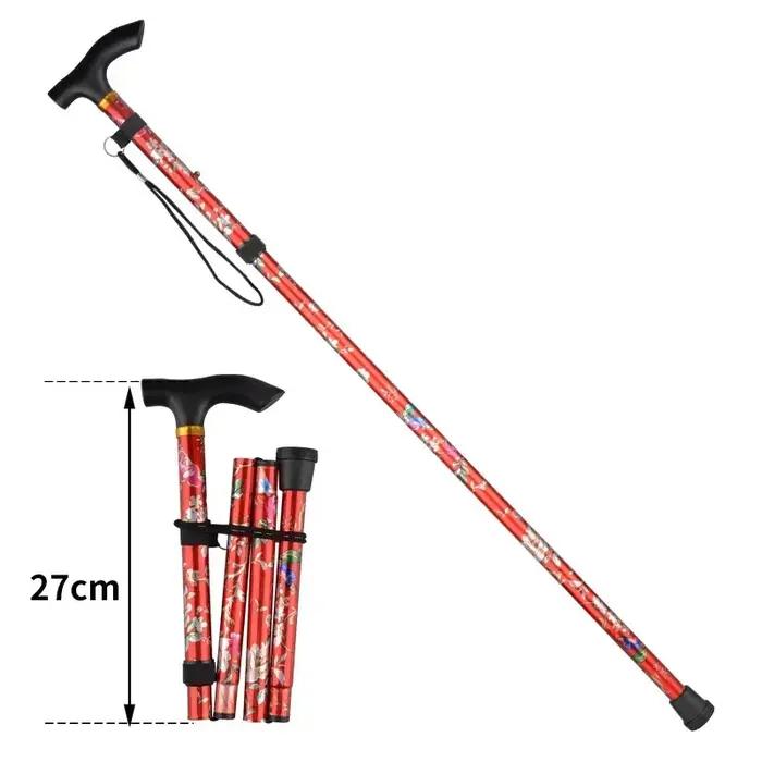 Randonnée Camping alpinisme bâtons impression bâton de marche bâton télescopique bâtons de Trekking