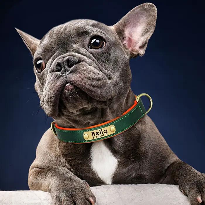 Collier pour chien avec plaque signalétique en cuir PU personnalisé