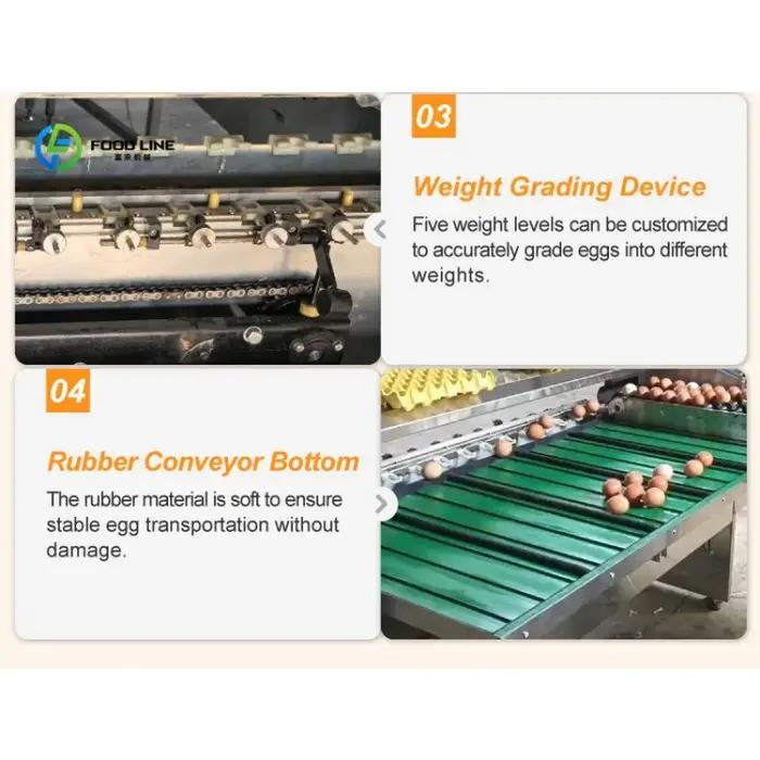 Équipement de pesage et de calibrage commercial robuste sur mesure pour l'agriculture, machine à peser les œufs, machine de tri et d'emballage des œufs