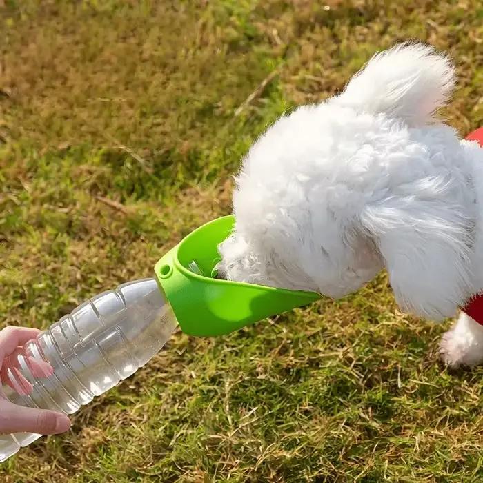 Distributeur d'eau portable pour animaux de compagnie – Bouteille