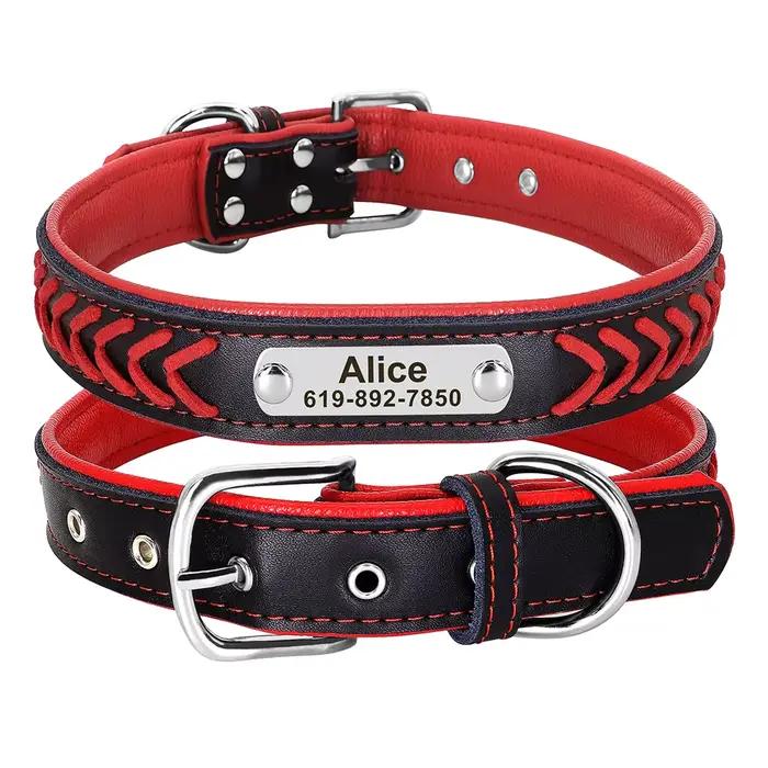 Collier de chien personnalisé en cuir rembourré pour chiens