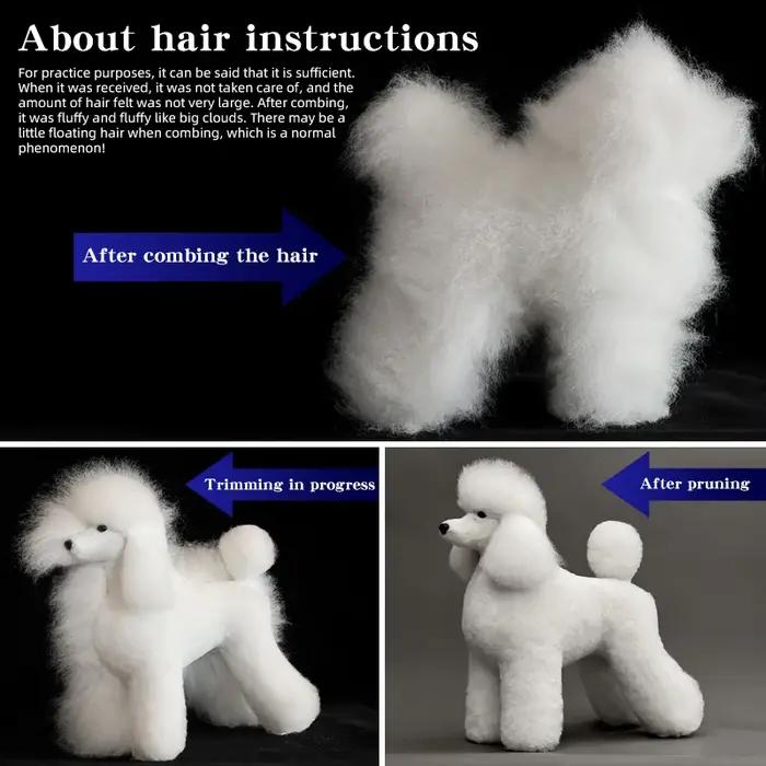 Modèle de chien squelette intégral standard pour toilettage d'animaux, simulation de beauté et d'entraînement pour coiffeurs canins
