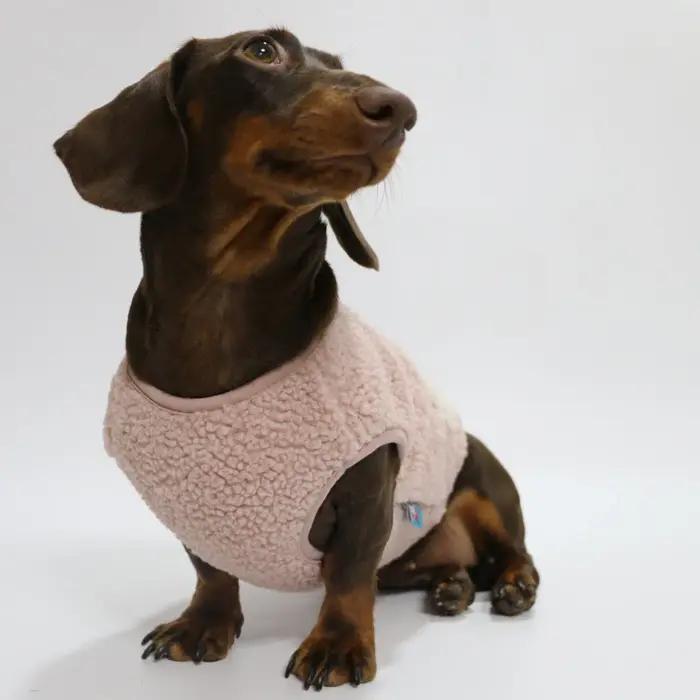 Wiener-Sweat-shirt chaud à manches courtes Blaireau, saucisse berbère, sourire, glaçure rose et marron, teckel, chiots à rélules, hiver