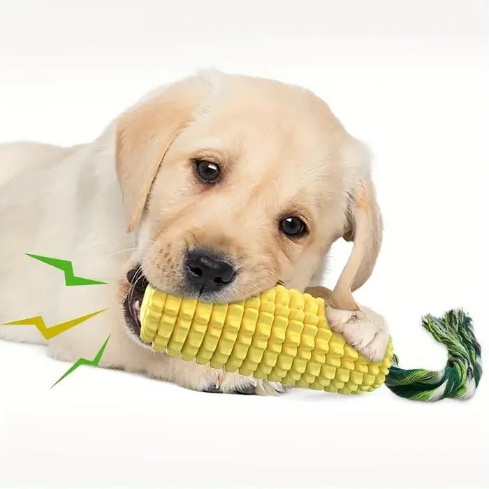 Jouets à mâcher pour chiens