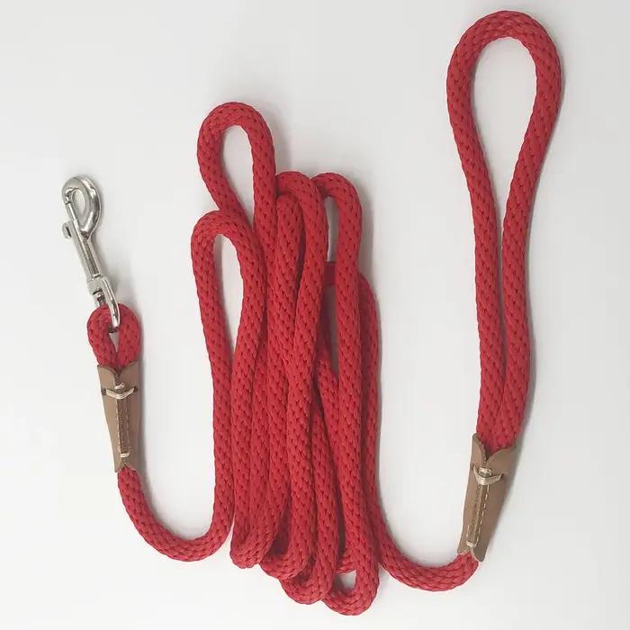 Laisse d'entraînement en nylon robuste pour chiot et grand chien Jogging Time pour balades et compétitions en plein air