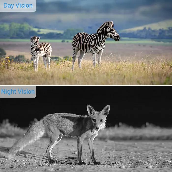 4K 30FPS Wifi caméras de chasse 940nm APP Surveillance sans fil Bluetooth contrôle Wifi900PRO 30MP faune Photo pièges enregistrement