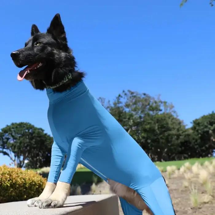 Combinaison de récupération chirurgicale pour chiens après chirurgie body Anti-perte pyjama à manches longues avec jambes pour chiens confort protection convalescence récupération phẫumie