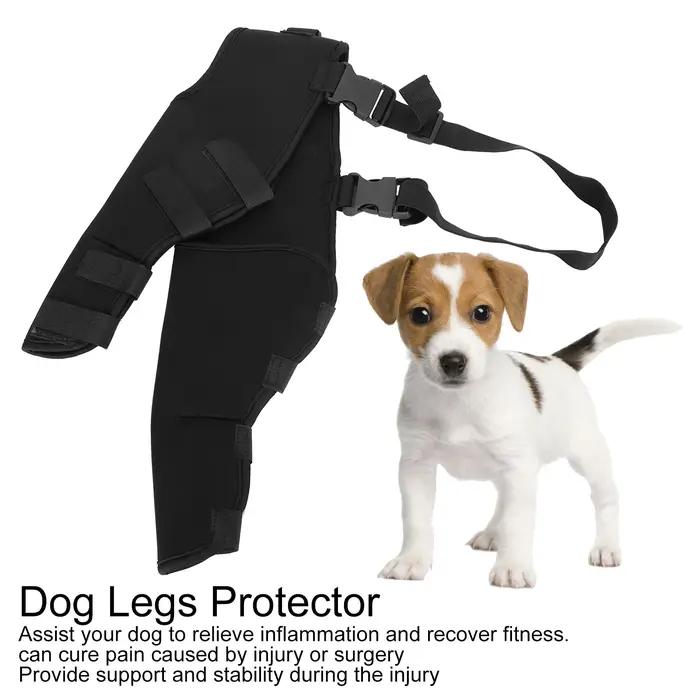 Protecteur de jambes arrière pour chien