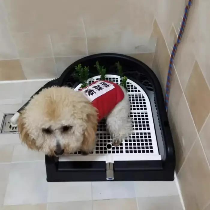 Petit chien de rinçage automatique