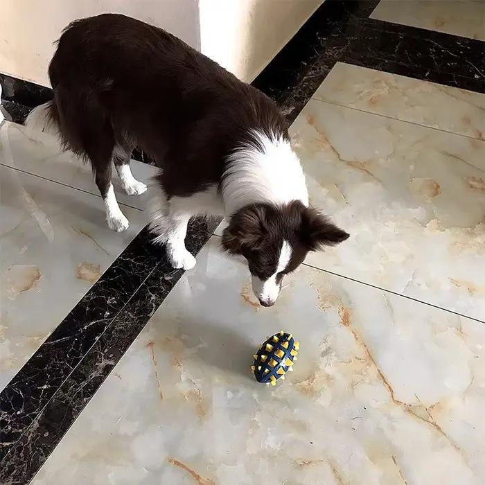 Rugby en caoutchouc pour chien