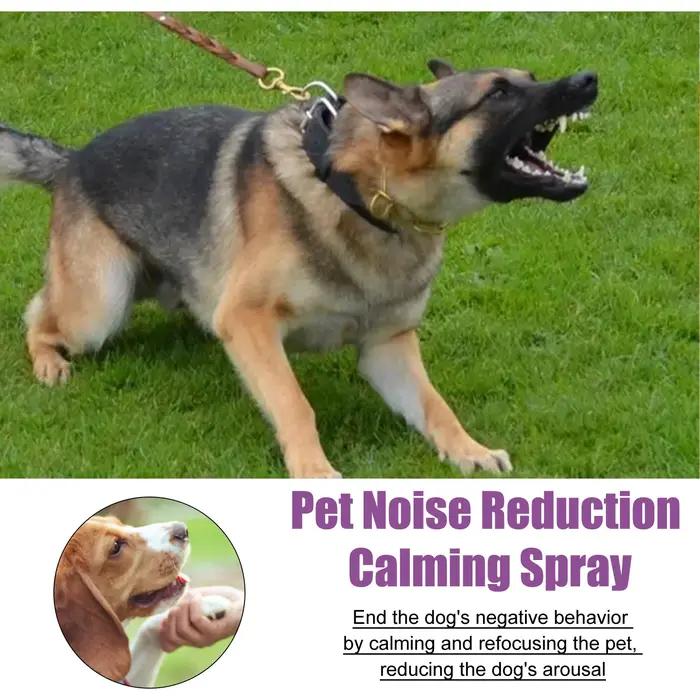Spray anti-bruit pour animaux de compagnie pour prévenir le stress