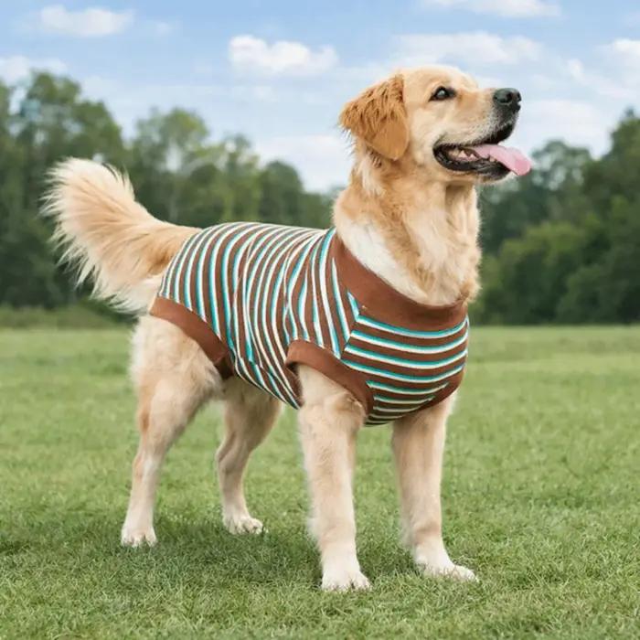 Combinaison pour chien