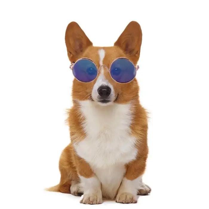 Lunettes de soleil amusantes et décoratives pour animaux de compagnie, accessoire photo fun pour chats et chiens, deux tailles disponibles, résistant à l'eau, variété de couleurs