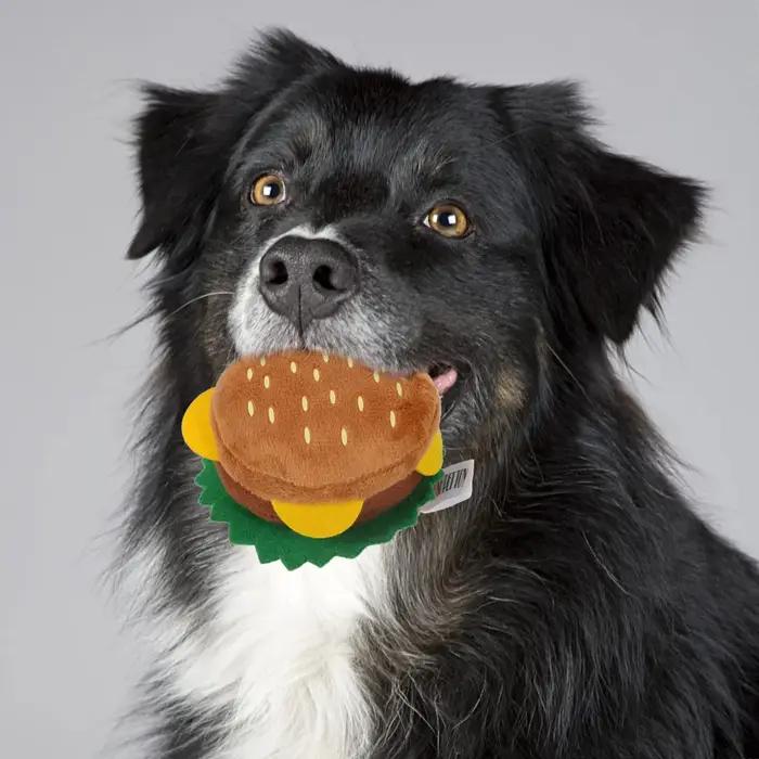 Jouets interactifs amusants et intéressants pour chiens