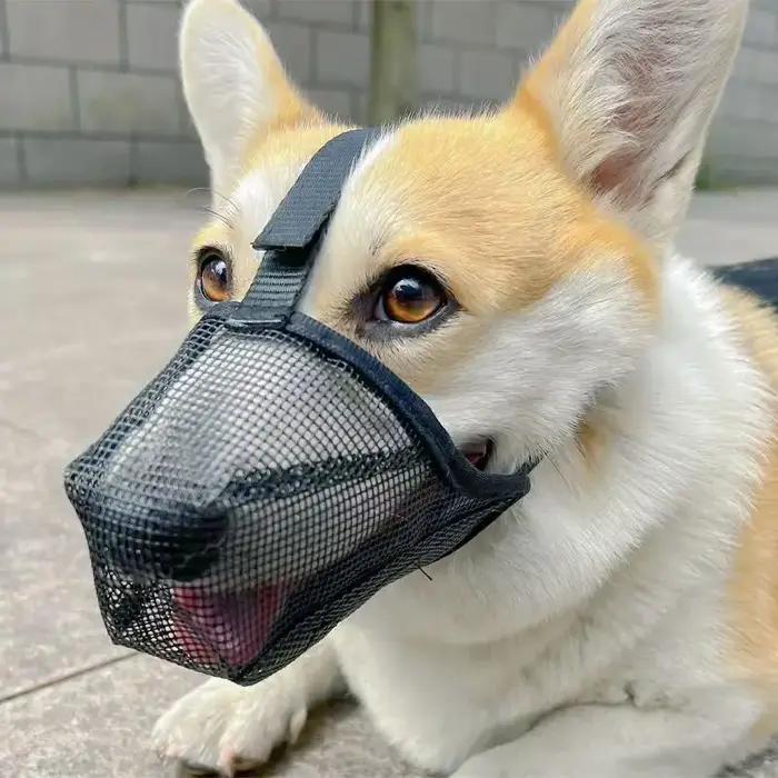 Muselière en maille respirante pour grand chien