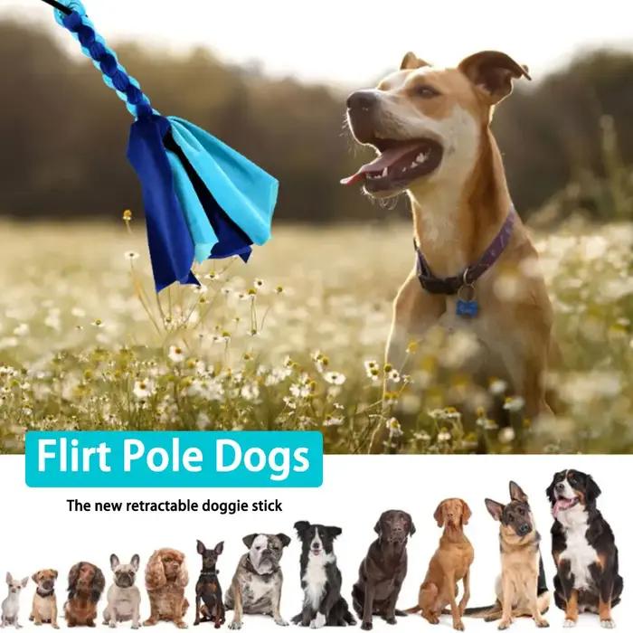Bâton de flirt extensible rétractable pour chien