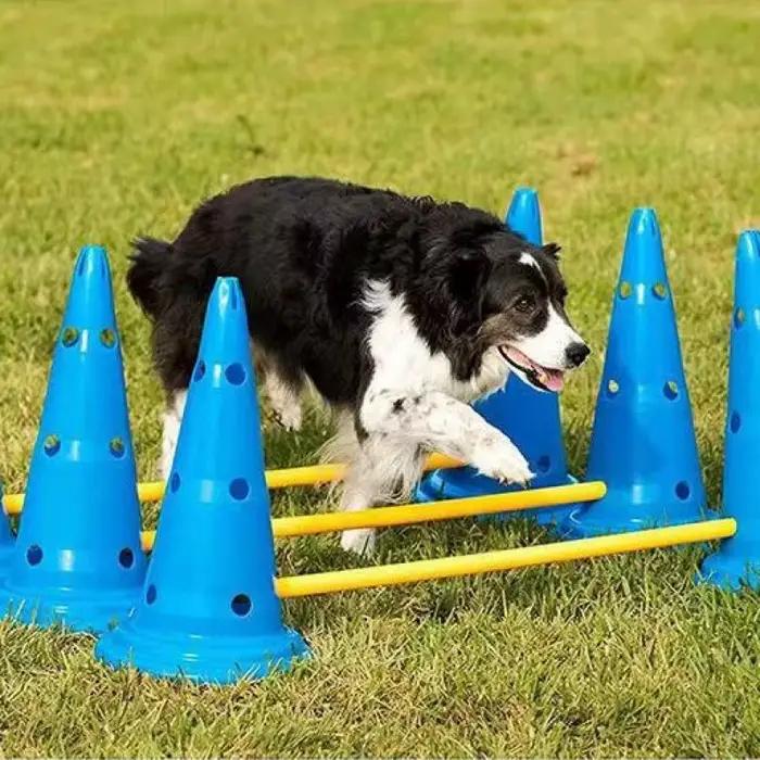 Ensemble d'entraînement d'agilité pour animaux de compagnie