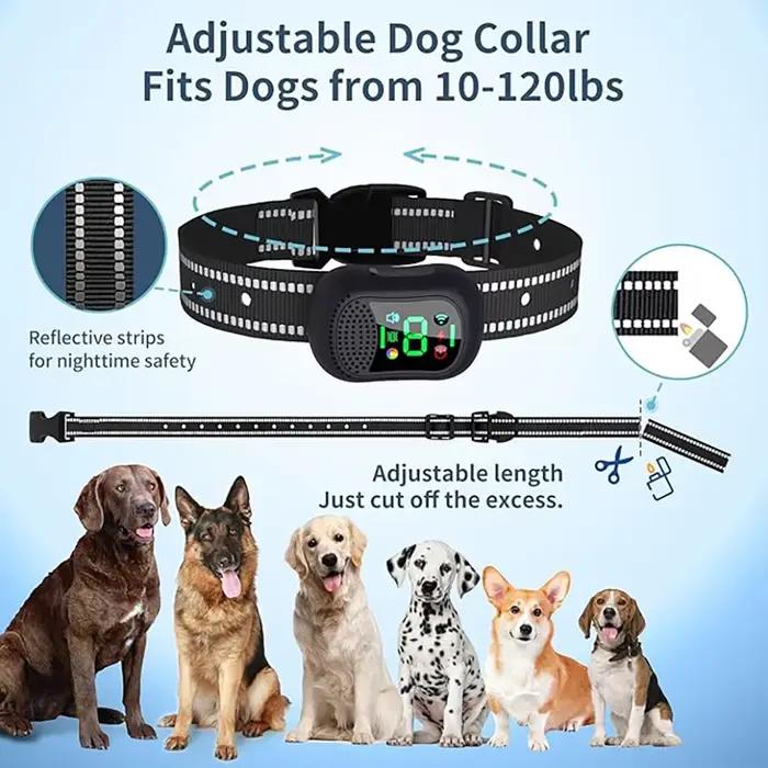 Collier de dressage pour chien 4900FT avec télécommande vocale