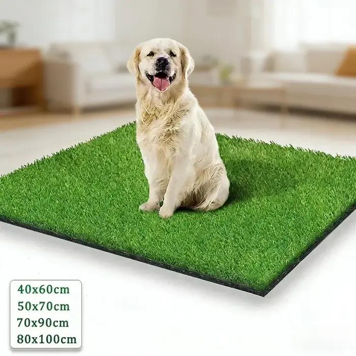 Tapis d'entraînement à la propreté lavable pour chien