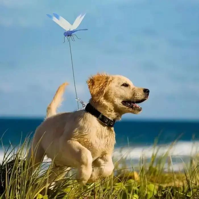Clip Libellule Réaliste pour Chien