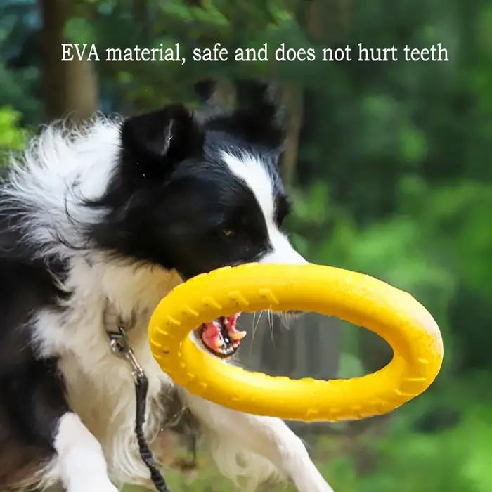 Jouets durables EVA pour chiens