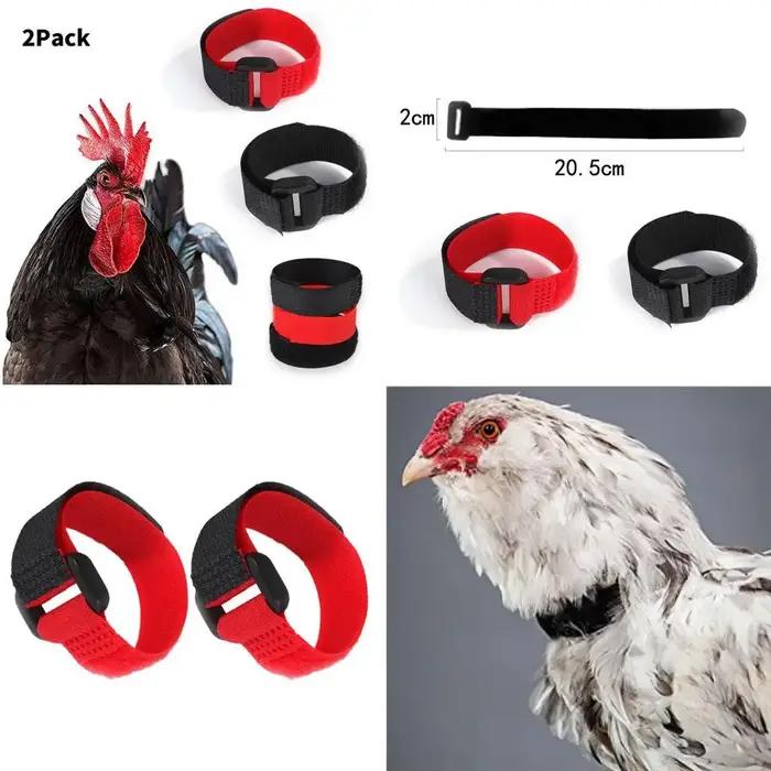 Collier de coq anti-bruit jetable