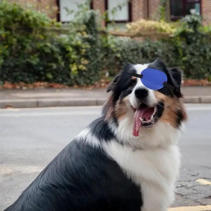 Patch oculaire confortable pour chiens
