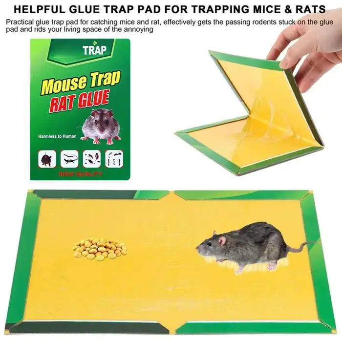 Pièges à souris adhésifs Super puissants