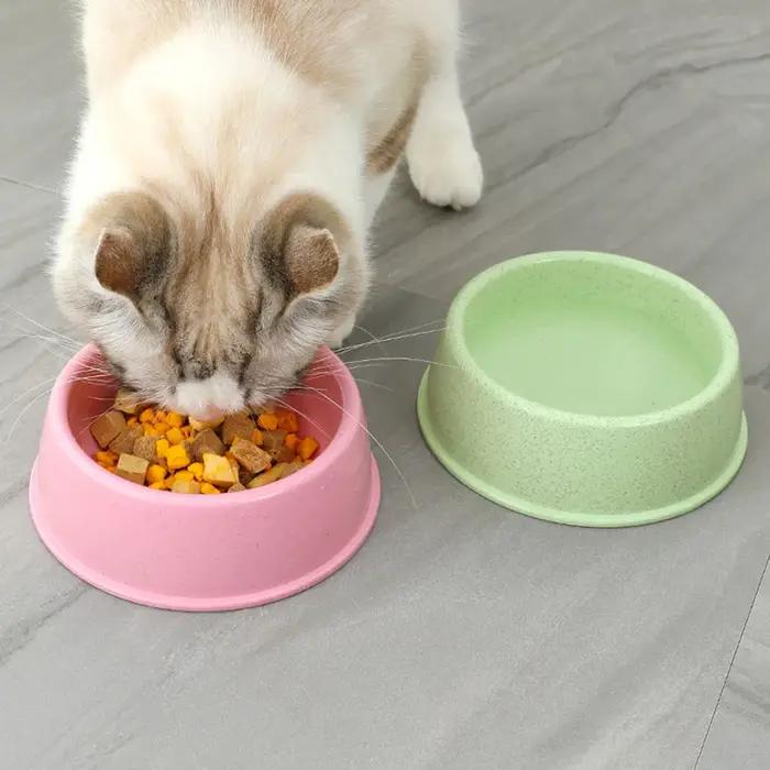 Bol pour animaux de compagnie bol pour chien à bouche ronde