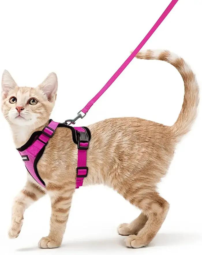ATUBAN harnais et laisse pour chat pour la marche