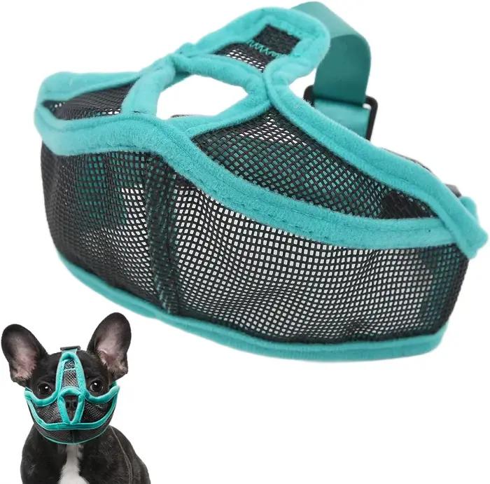 Muselière pour chien