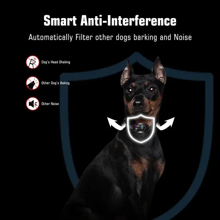 Collier anti-aboiement intelligent pour chiens
