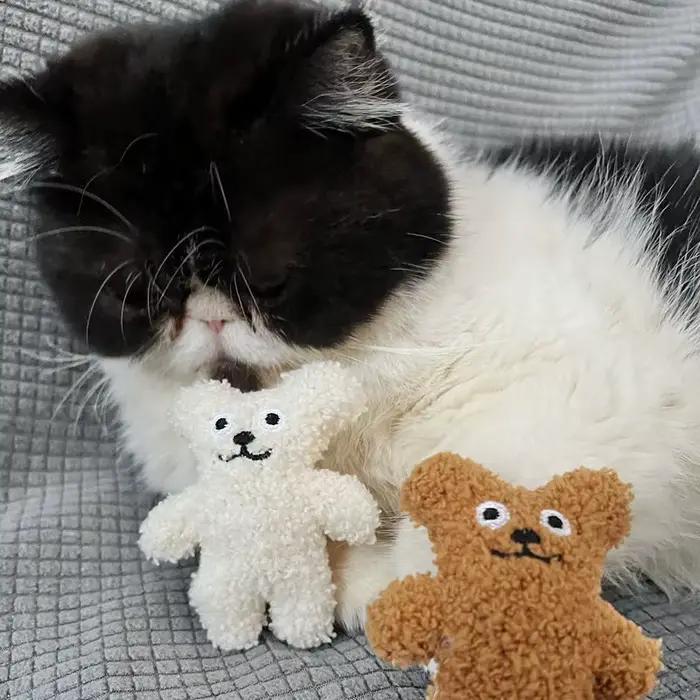 Peluche en peluche menthe pour compagnon doux et apaisant jouet en peluche pour chien chiens blanc ou noir jouet pour réconfort occasions spéciales