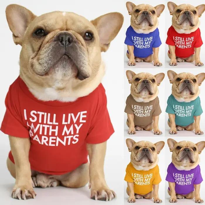 Vetement respirant en tissu pour chiens petite taille printemps etete design unique lettres douces imprimées style mode occassions speciales