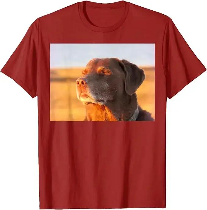 T-shirt amusant avec un motif de chien, un labrador retriever et un slogan humoristique, style Y2K, idéal pour les amoureux des chiens, vêtement graphique à manches courtes, t-shirt en coton doux, t-s