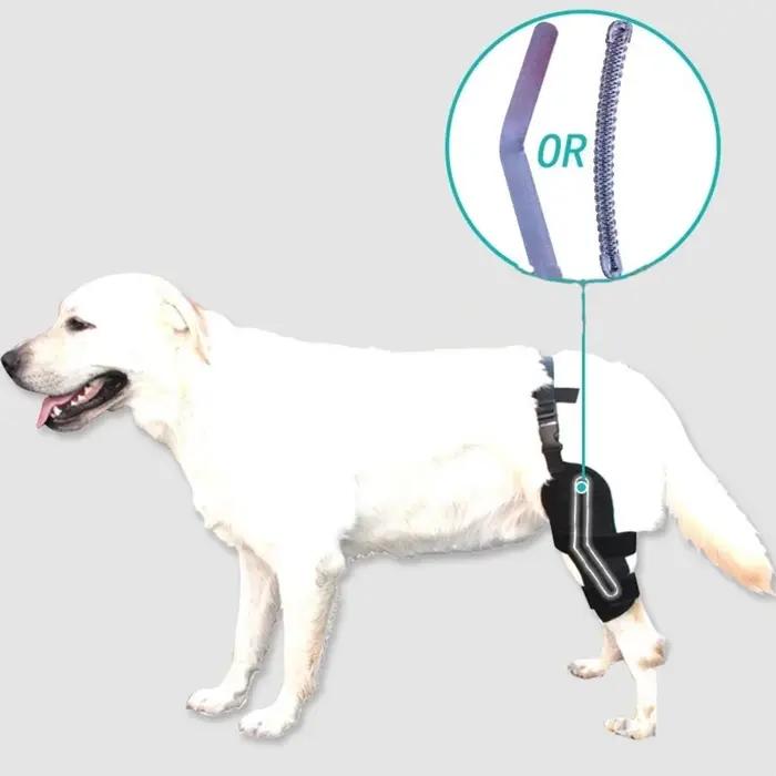 Genouillère de soutien pour chien