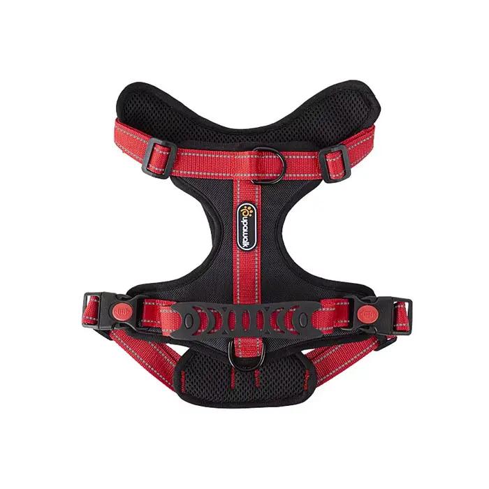 DobSuffolk-Collier de marche Pinscher SFP pour animaux de compagnie