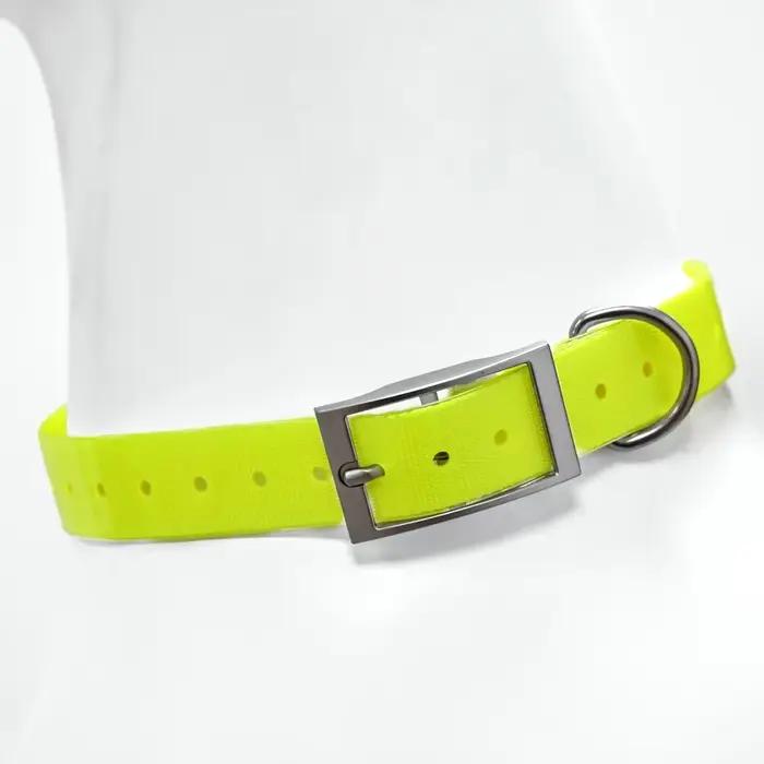Collier de chasse pour chien