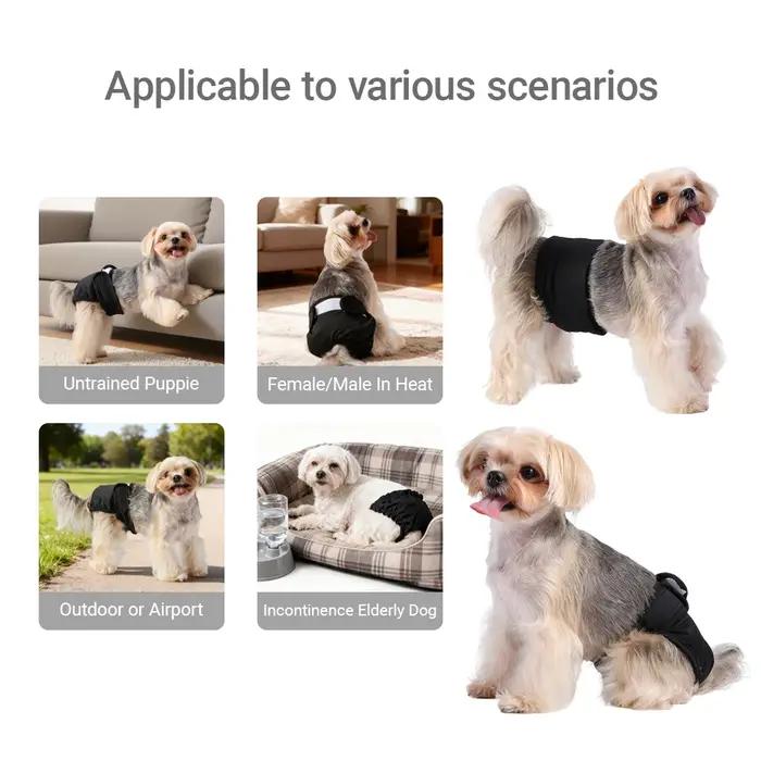 Couches lavables pour animaux de compagnie pour femmes et hommes