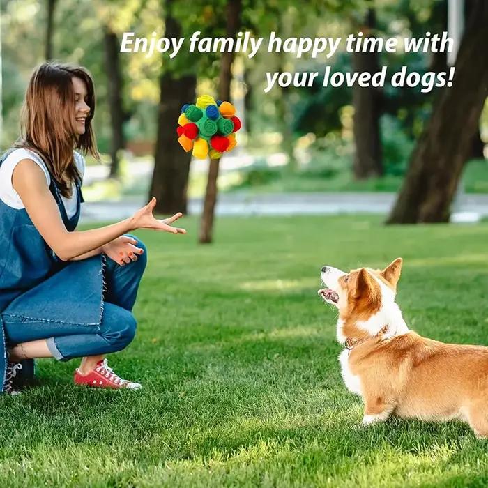 Jouet interactif pour chien en promotion - Balle olfactive pour dissimuler des friandises